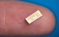 Новые Intel Atom появятся в нетбуках в январе?